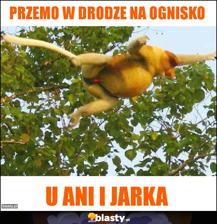 Przemo w drodze na ognisko Przemo w drodze na ognisko