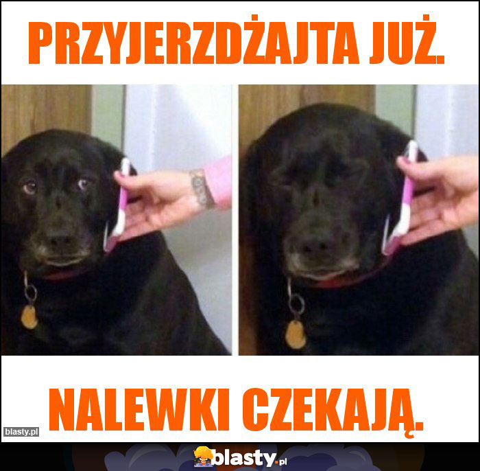 Przyjerzdżajta już. Przyjerzdżajta już.