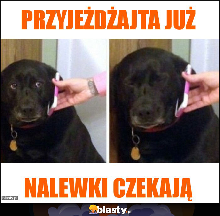 Przyjeżdżajta już Przyjeżdżajta już