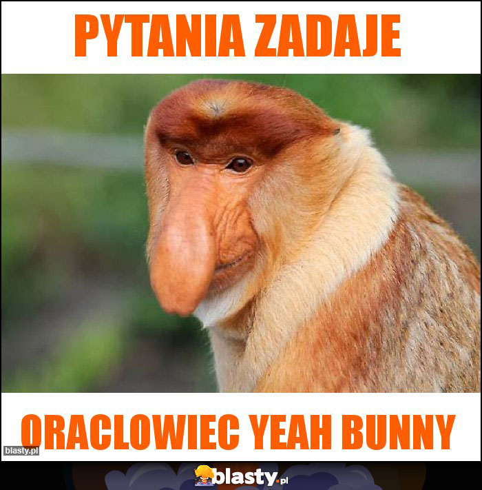 Pytania zadaje Pytania zadaje