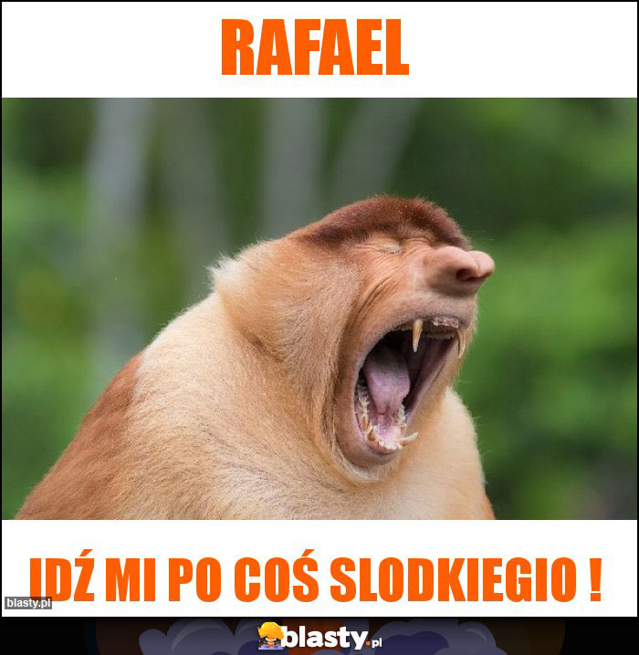 Rafael