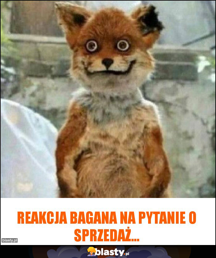 Reakcja Bagana na pytanie o sprzedaż... Reakcja Bagana na pytanie o sprzedaż...