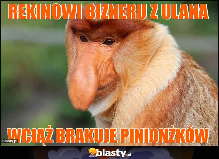 Rekinowi bizneru z Ulana Rekinowi bizneru z Ulana