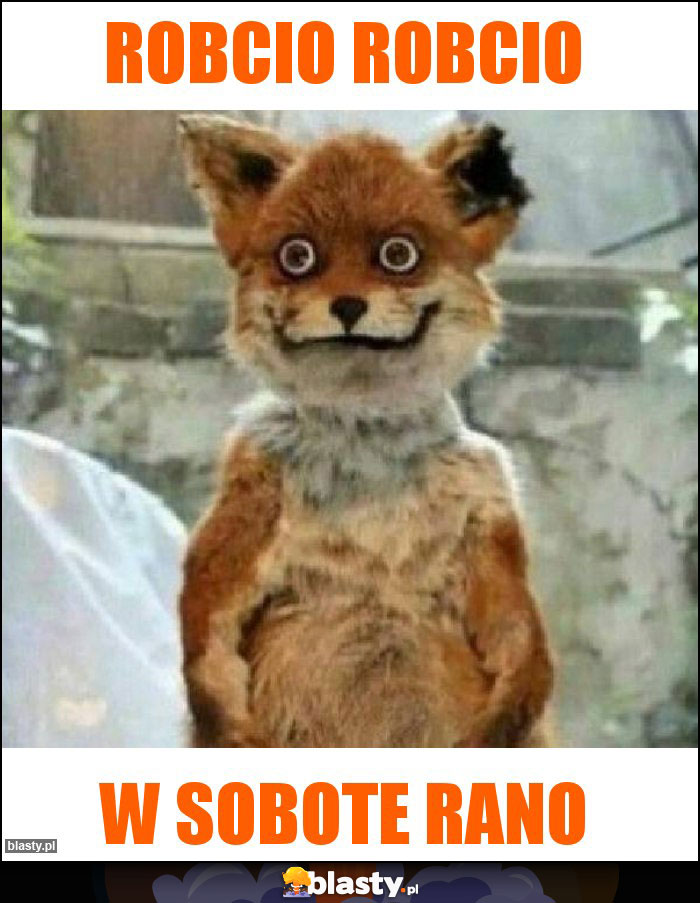 ROBCIO ROBCIO ROBCIO ROBCIO