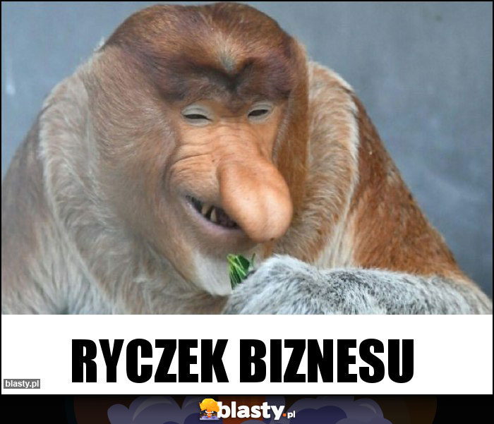 Ryczek biznesu Ryczek biznesu