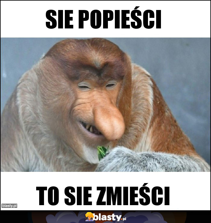 Sie popieści Sie popieści