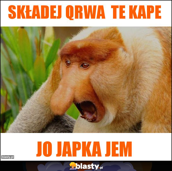 Składej qrwa te kape Składej qrwa te kape
