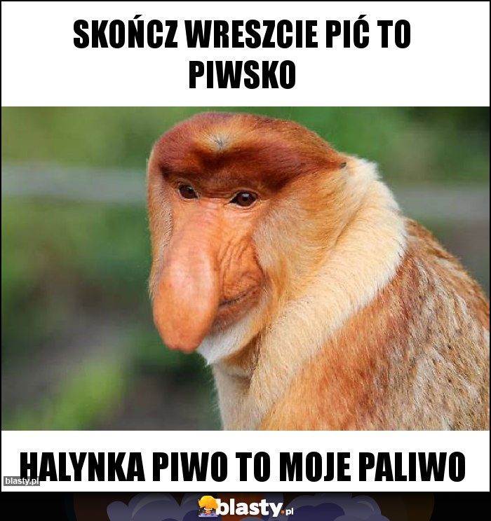 Skończ wreszcie pić to piwsko Skończ wreszcie pić to piwsko