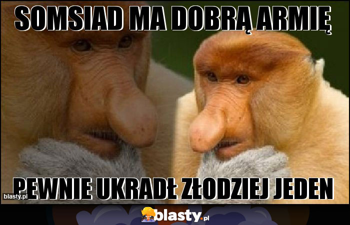 SOMSIAD MA DOBRĄ ARMIĘ SOMSIAD MA DOBRĄ ARMIĘ
