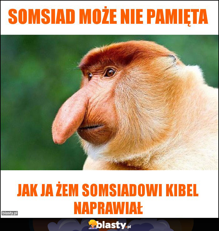 somsiad może nie pamięta somsiad może nie pamięta