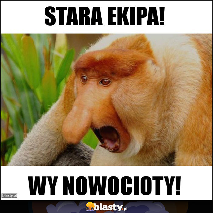 Stara ekipa! Stara ekipa!