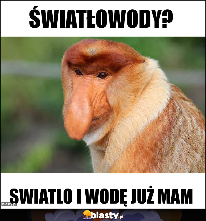 Światłowody? Światłowody?