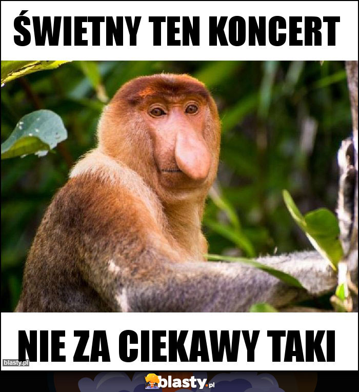 Świetny ten koncert
