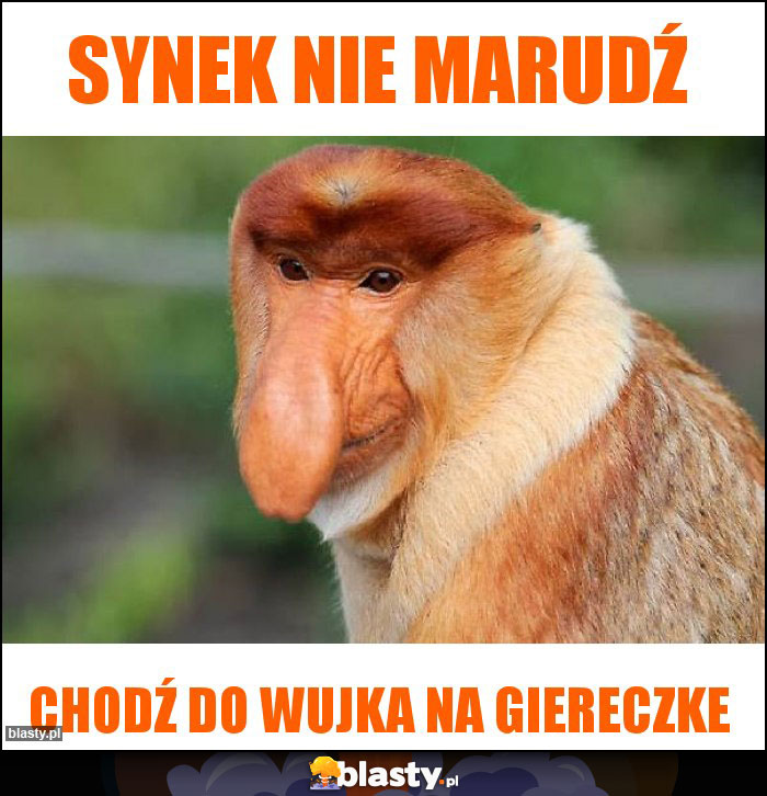 Synek nie marudź Synek nie marudź