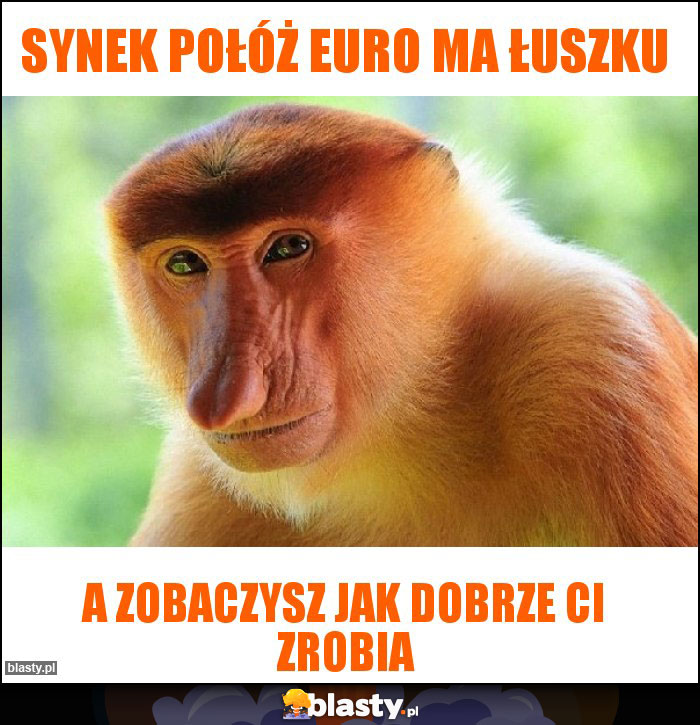 synek połóż euro ma łuszku synek połóż euro ma łuszku