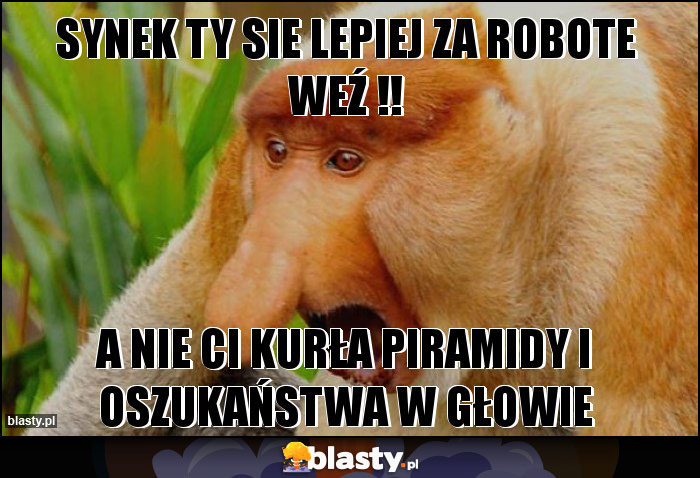 SYNEK TY SIE LEPIEJ ZA ROBOTE WEŹ !! SYNEK TY SIE LEPIEJ ZA ROBOTE WEŹ !!