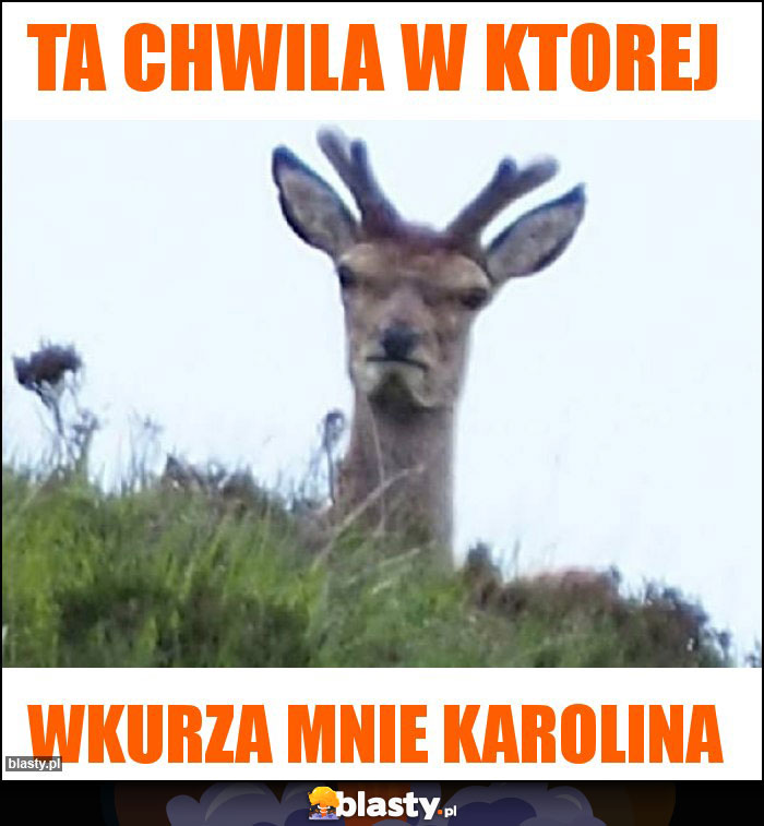 Ta chwila w ktorej Ta chwila w ktorej