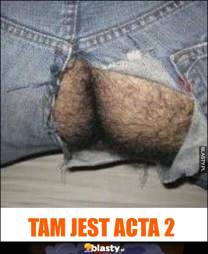tam jest ACTA 2 tam jest ACTA 2