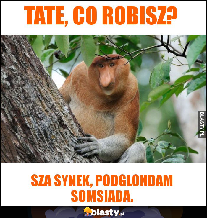 Tate, co robisz? Tate, co robisz?