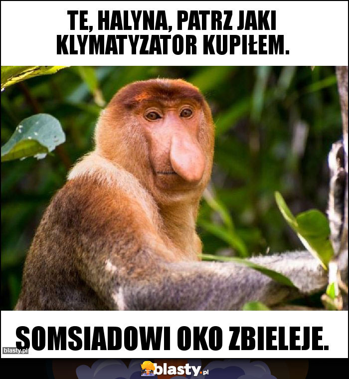 Te, Halyna, patrz jaki klymatyzator kupiłem. Te, Halyna, patrz jaki klymatyzator kupiłem.