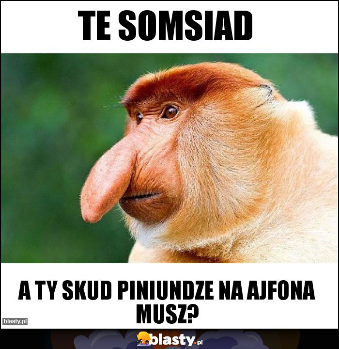 Te somsiad Te somsiad
