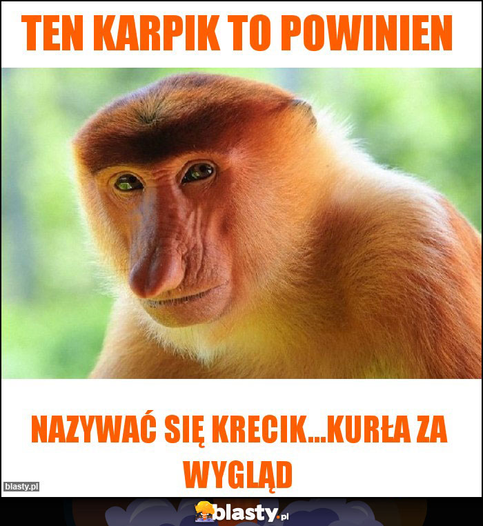 Ten Karpik to powinien Ten Karpik to powinien