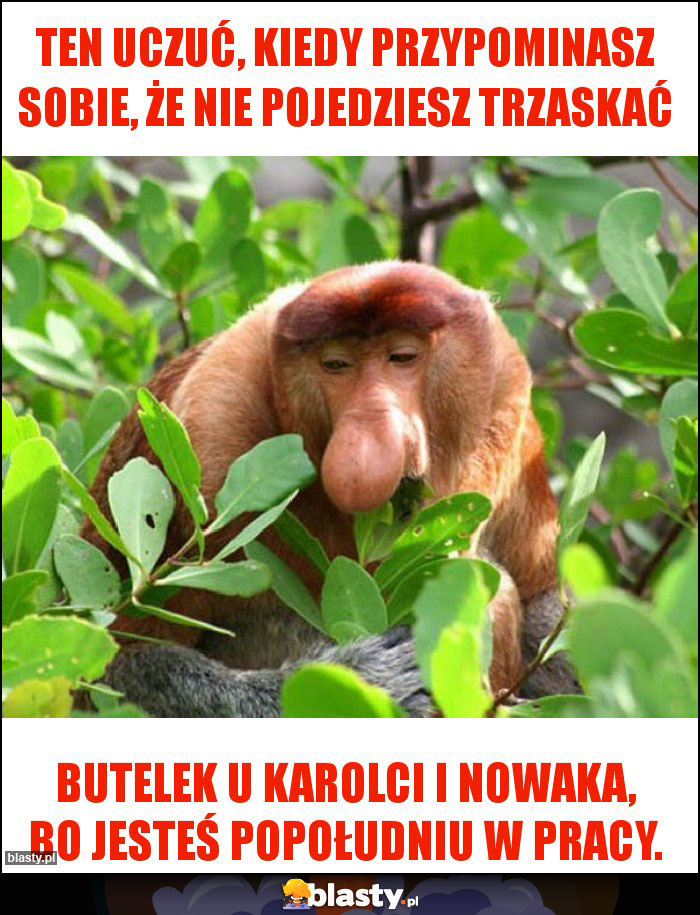 Ten uczuć, kiedy przypominasz sobie, że nie pojedziesz trzaskać Ten uczuć, kiedy przypominasz sobie, że nie pojedziesz trzaskać