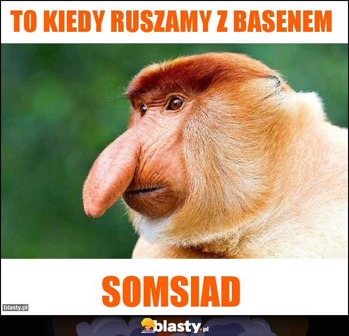 To kiedy ruszamy z basenem To kiedy ruszamy z basenem