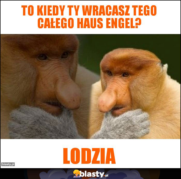 To kiedy Ty wracasz tego całego Haus Engel?
