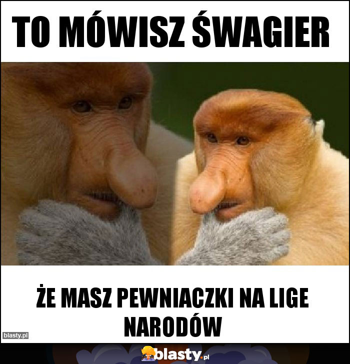 To mówisz śwagier To mówisz śwagier