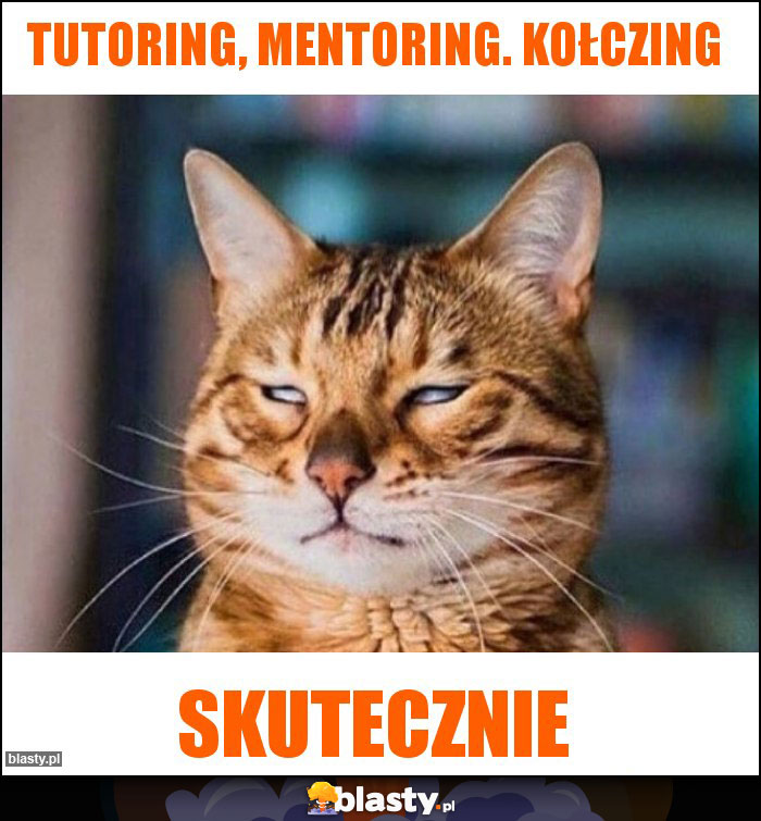 Tutoring, Mentoring. Kołczing Tutoring, Mentoring. Kołczing