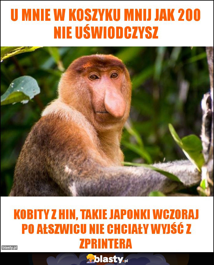 U mnie w koszyku mnij jak 200 nie uświodczysz U mnie w koszyku mnij jak 200 nie uświodczysz