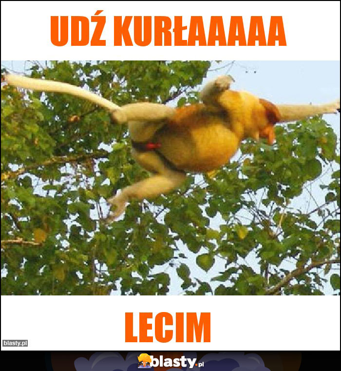 Udź kurłaaaaa Udź kurłaaaaa