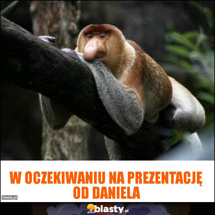 W oczekiwaniu na prezentację od Daniela W oczekiwaniu na prezentację od Daniela