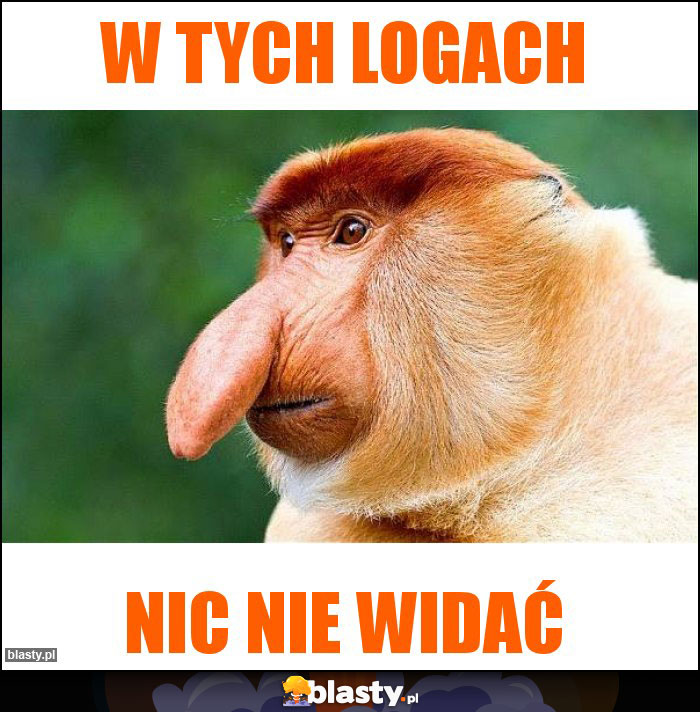 w tych logach