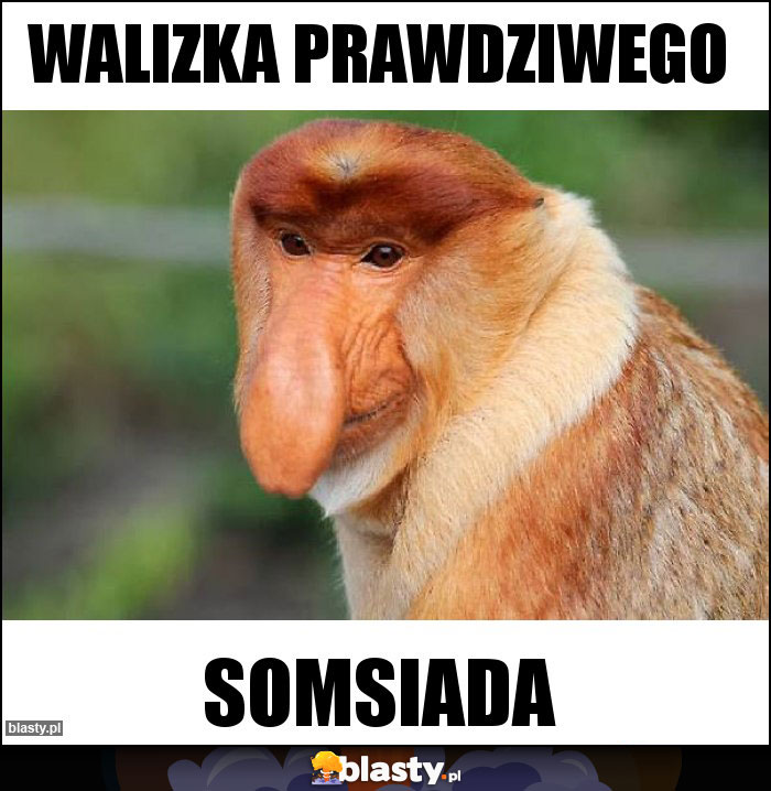 WALIZKA PRAWDZIWEGO WALIZKA PRAWDZIWEGO