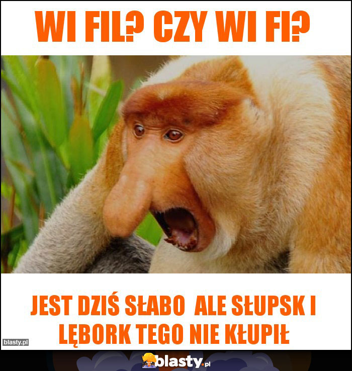 Wi fil? Czy Wi fi? Wi fil? Czy Wi fi?