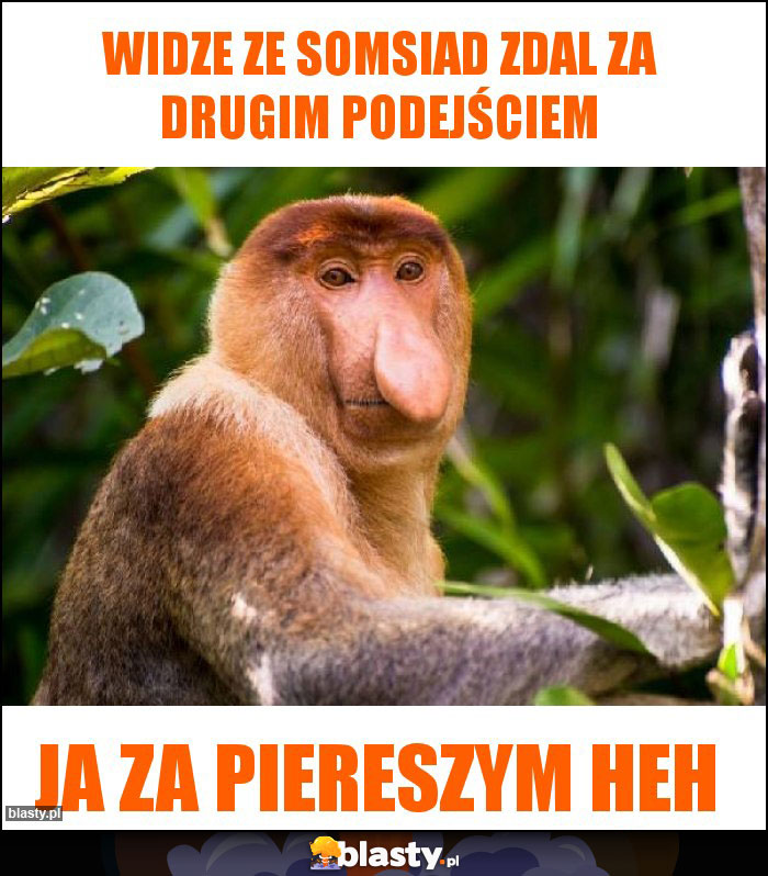 Widze ze somsiad zdal za drugim podejściem Widze ze somsiad zdal za drugim podejściem