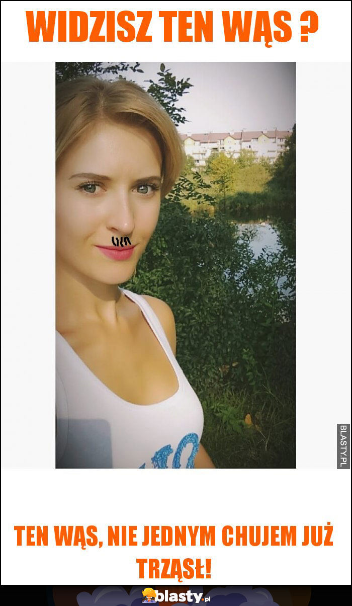 widzisz ten wąs ? widzisz ten wąs ?