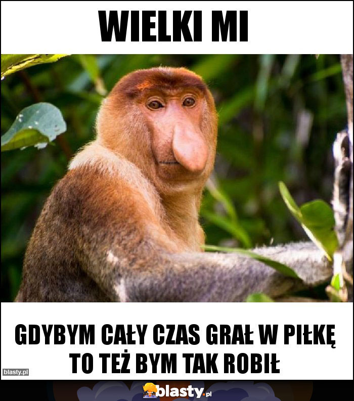 Wielki mi