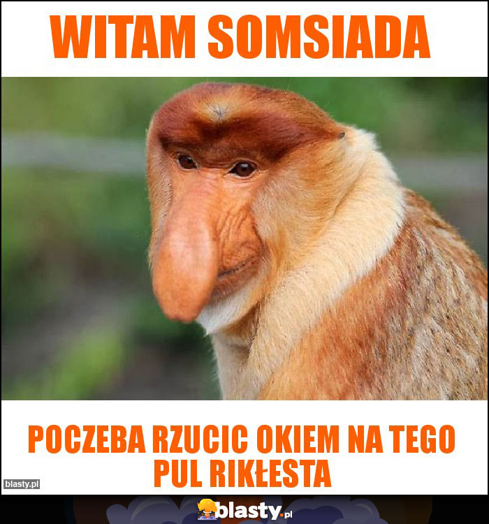 witam somsiada witam somsiada
