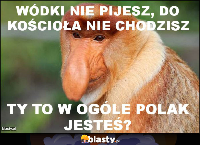 Wódki nie pijesz, do kościoła nie chodzisz Wódki nie pijesz, do kościoła nie chodzisz