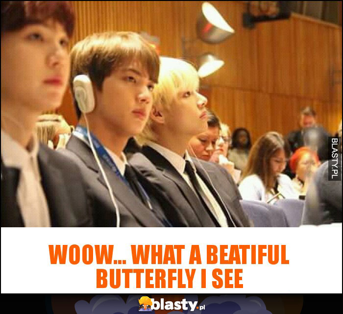 Woow... What a beatiful butterfly I see Woow... What a beatiful butterfly I see