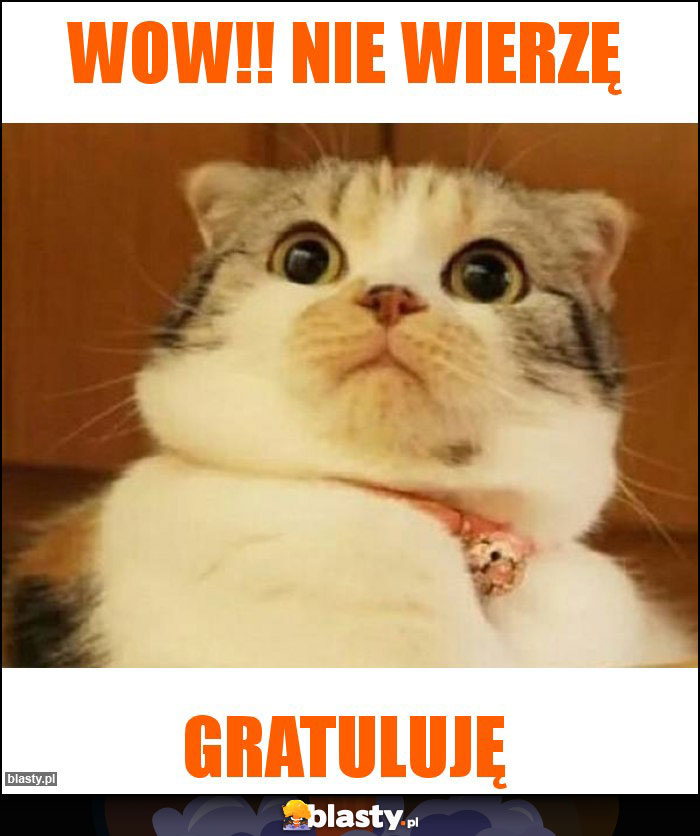 Wow!! Nie wierzę Wow!! Nie wierzę
