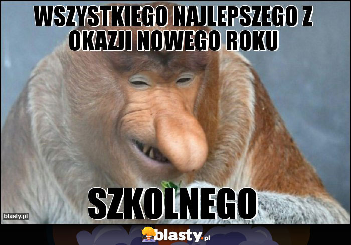 wszystkiego najlepszego z okazji nowego roku wszystkiego najlepszego z okazji nowego roku