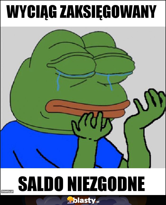 WYCIĄG ZAKSIĘGOWANY WYCIĄG ZAKSIĘGOWANY