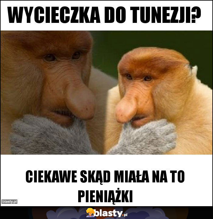 Wycieczka do Tunezji? Wycieczka do Tunezji?