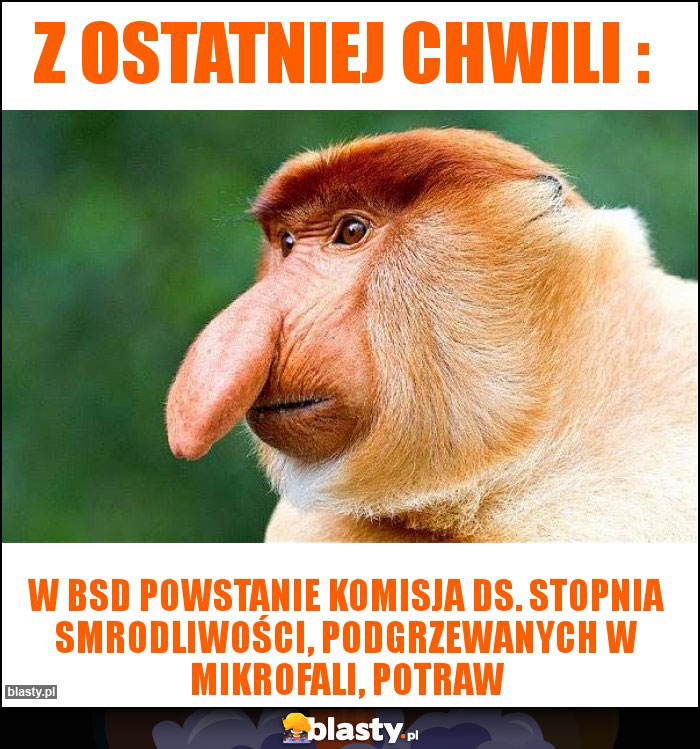 z ostatniej chwili : z ostatniej chwili :