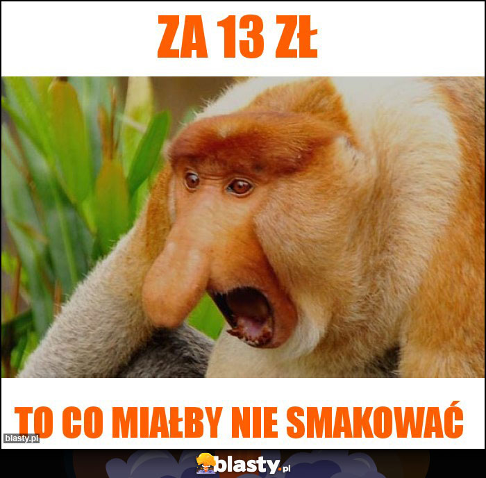 za 13 zł