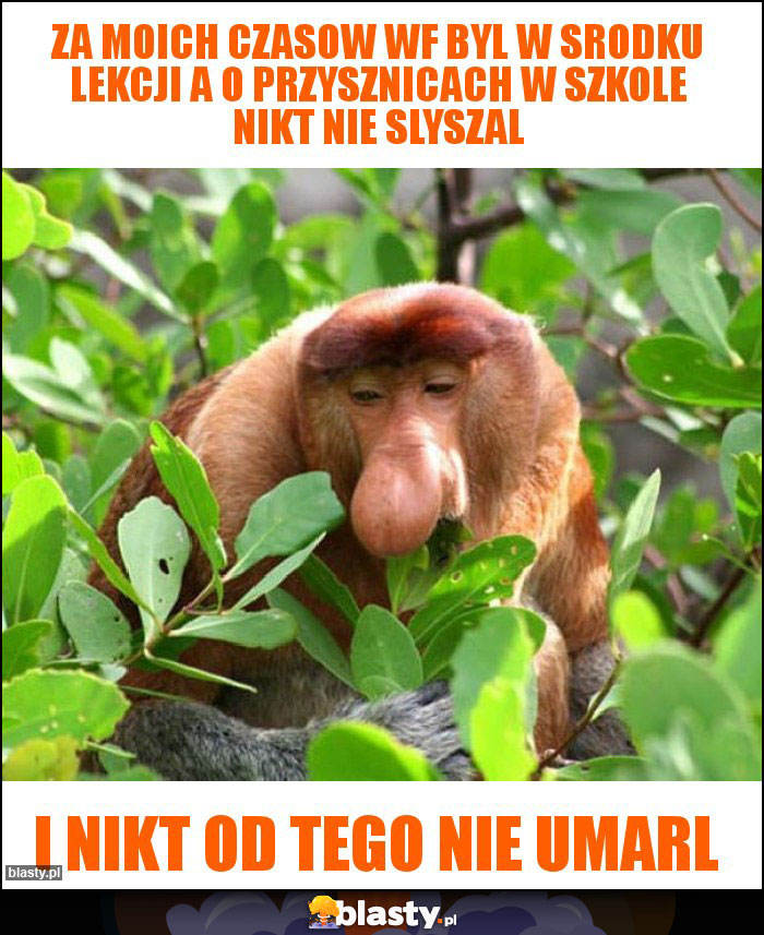 za moich czasow WF byl w srodku lekcji a o przysznicach w szkole nikt nie slyszal za moich czasow WF byl w srodku lekcji a o przysznicach w szkole nikt nie slyszal